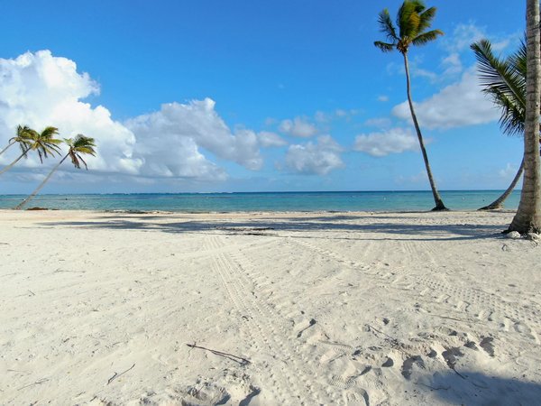 Quelle croisière offre des excursions pour explorer les geysers et sources chaudes en Islande?