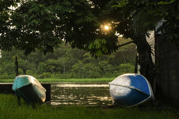 Où trouver les meilleurs spots pour observer les tortues luth en Guyane : périodes et conseils pratiques ?